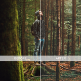 Moody Looks (LR Presets)