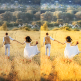 Vibrant Looks (LR Presets)