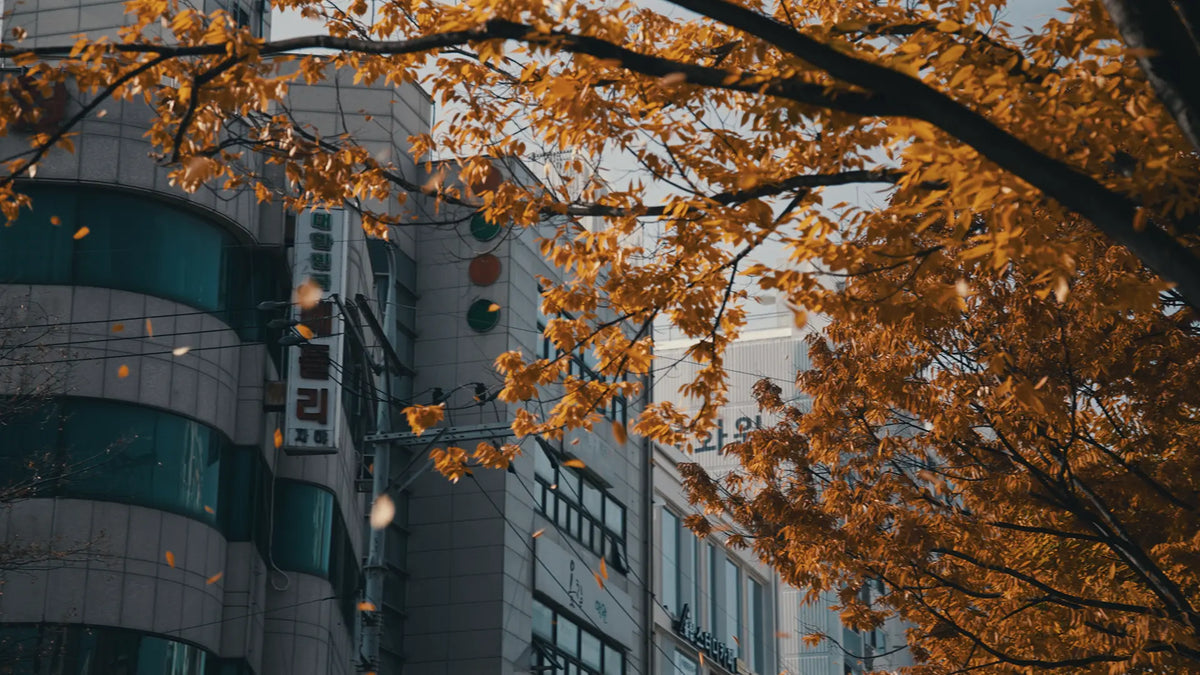 Retro