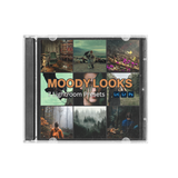 Moody Looks (LR Presets)