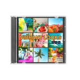 Vibrant Looks (LR Presets)