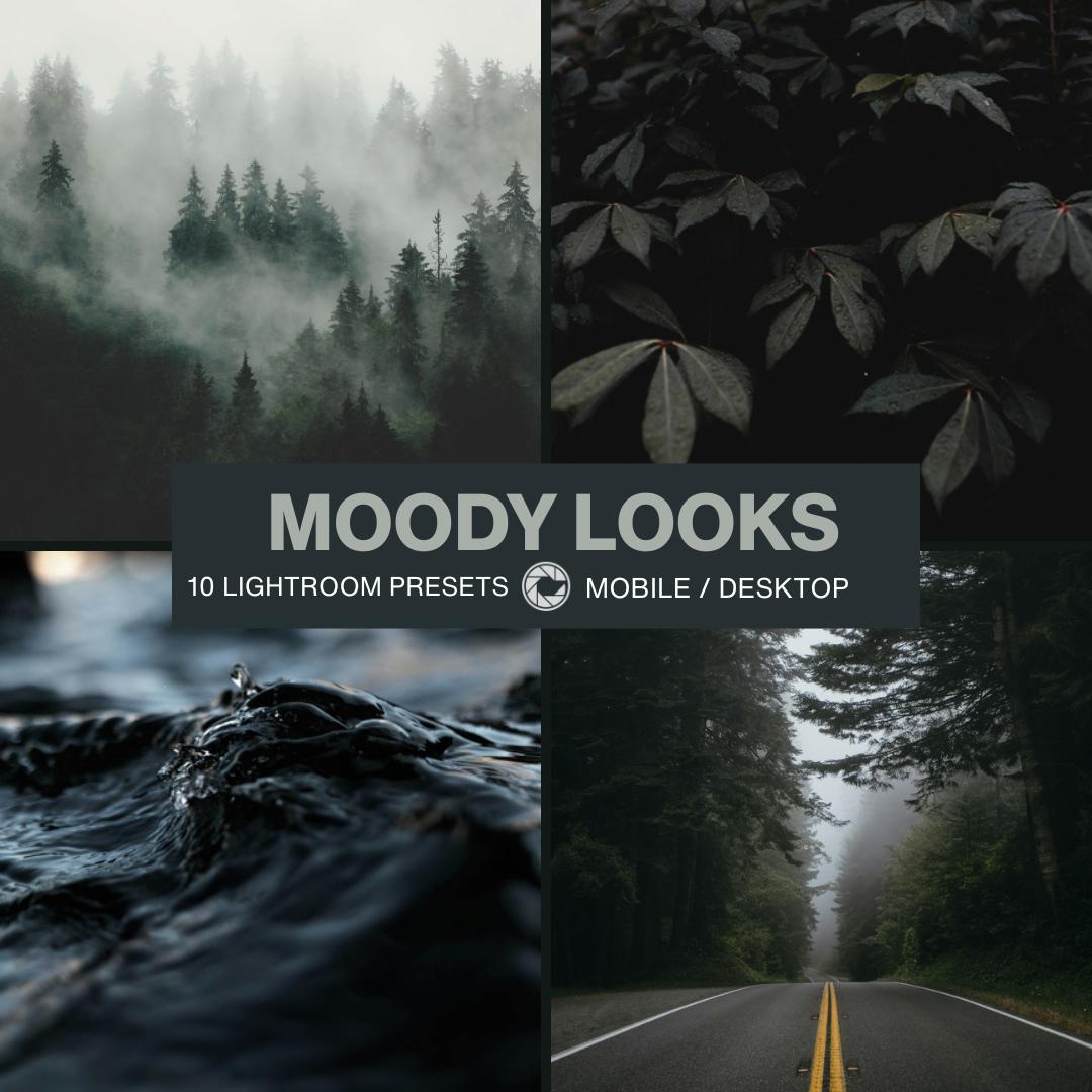 All Access Preset Collection - CINEVOLVE