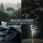All Access Preset Collection - CINEVOLVE