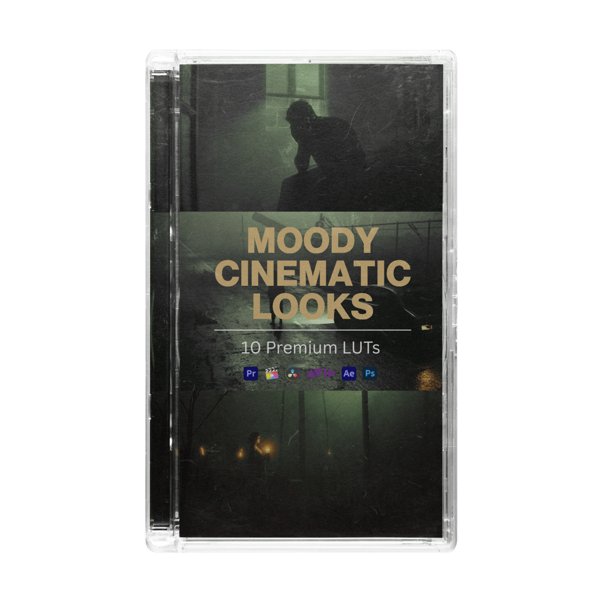 Moody Cinematic Looks - CINEVOLVE