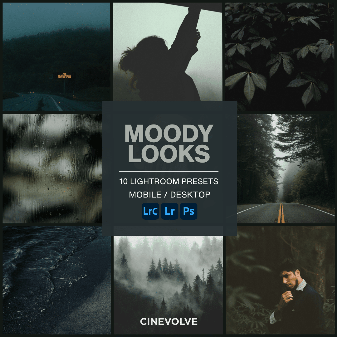 Moody Looks - CINEVOLVE