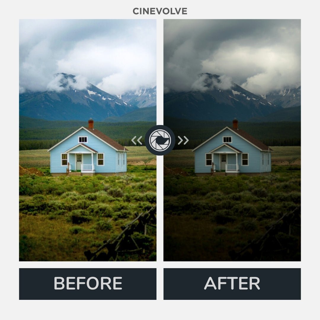 Moody Looks - CINEVOLVE