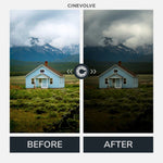 Moody Looks - CINEVOLVE