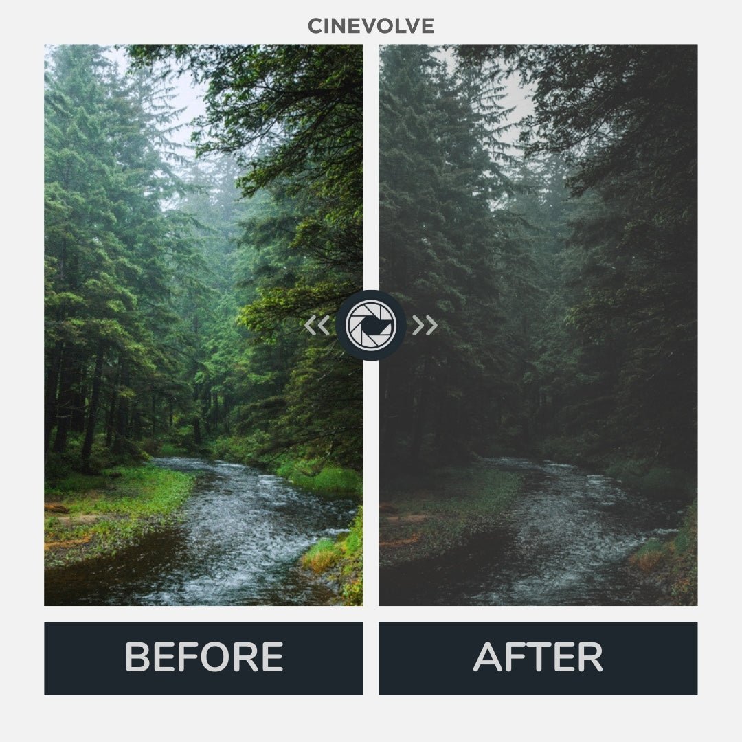 Moody Looks - CINEVOLVE