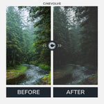 Moody Looks - CINEVOLVE