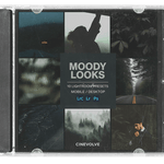 Moody Looks - CINEVOLVE