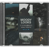 Moody Looks - CINEVOLVE