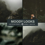 Moody Looks - CINEVOLVE