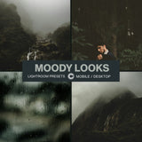 Moody Looks - CINEVOLVE