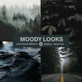 Moody Looks - CINEVOLVE