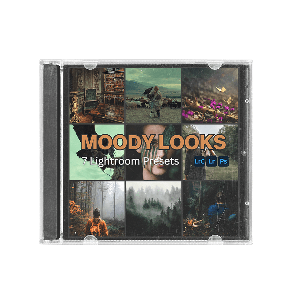 Moody Looks (LR Presets) - CINEVOLVE
