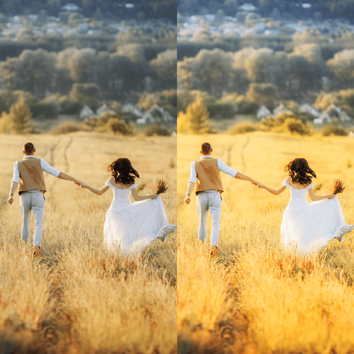 Vibrant Looks (LR Presets) - CINEVOLVE